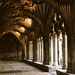 Cloisters at Canterbury by redandwhite