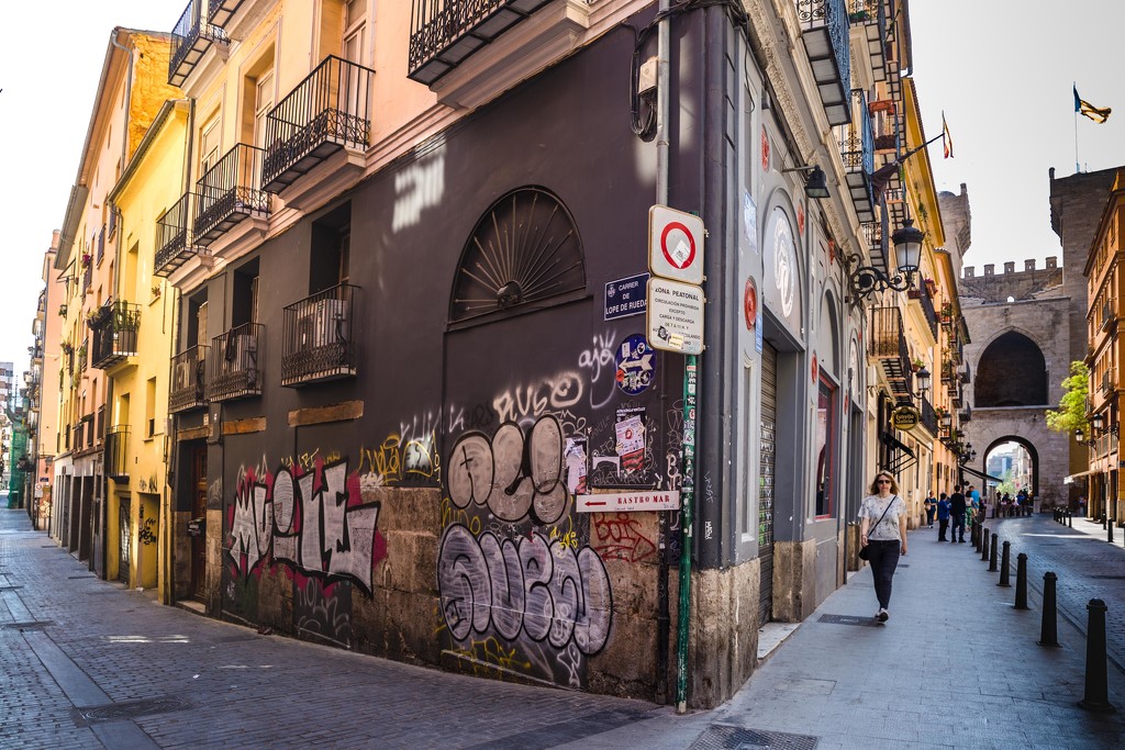 Valencian Walls:  Old and New by jyokota