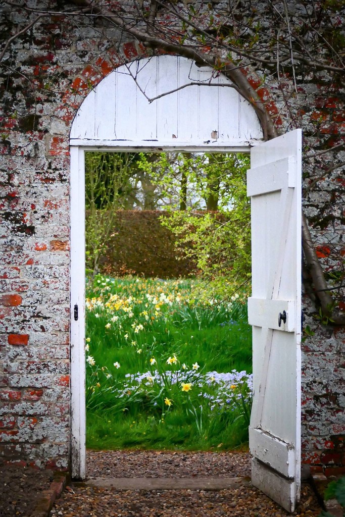 An Open Door by carole_sandford