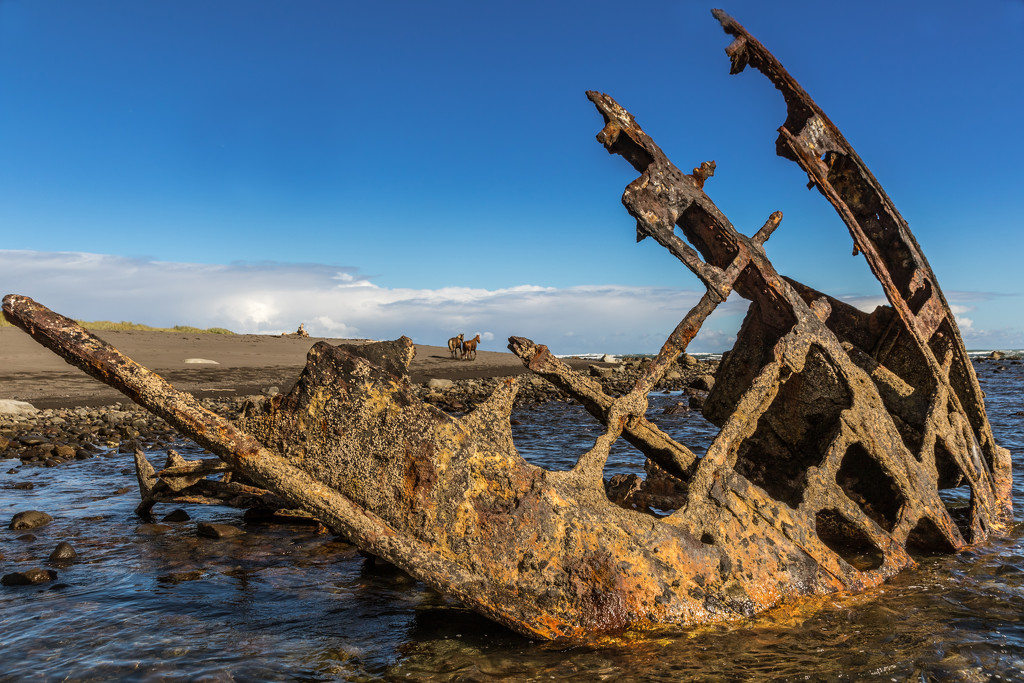 Shipwrecked on Horse Island by helenw2