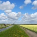 DSCN0304 Dutch landscape by marijbar