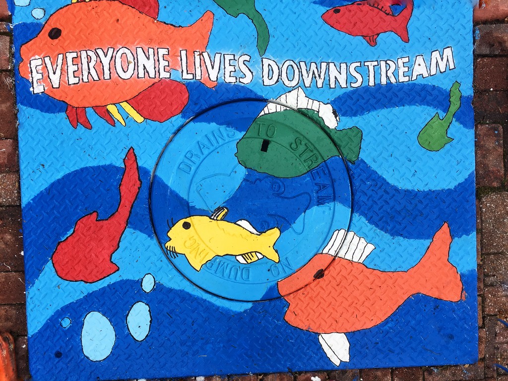 Everyone Lives Downstream  by rosiekerr