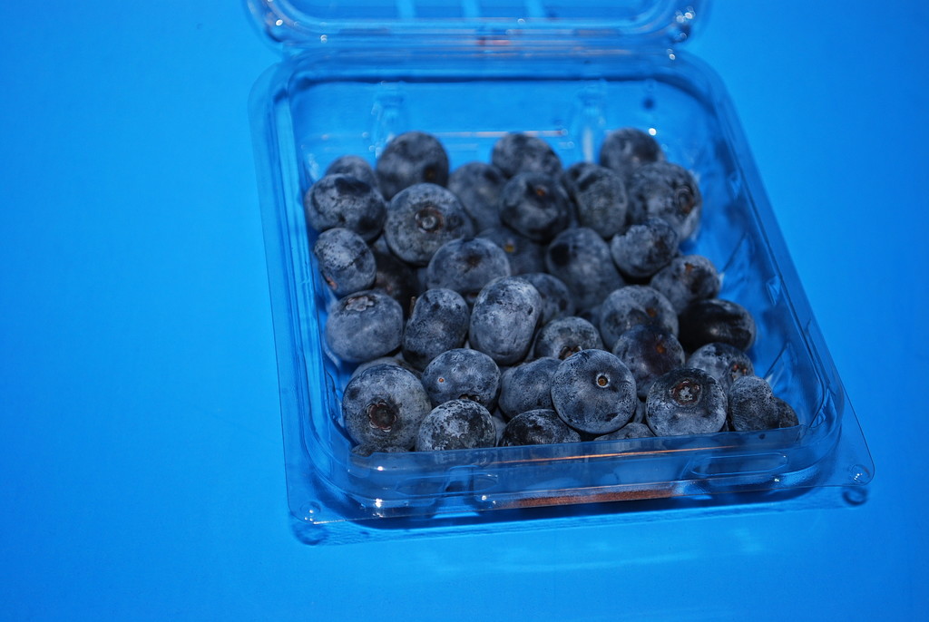 Blueberries... Yummmm by stillmoments33
