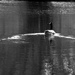 Canada Goose by parisouailleurs