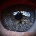 My Eye and Betty Martin by maggiemae