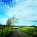 On the Road in Spring by cookingkaren
