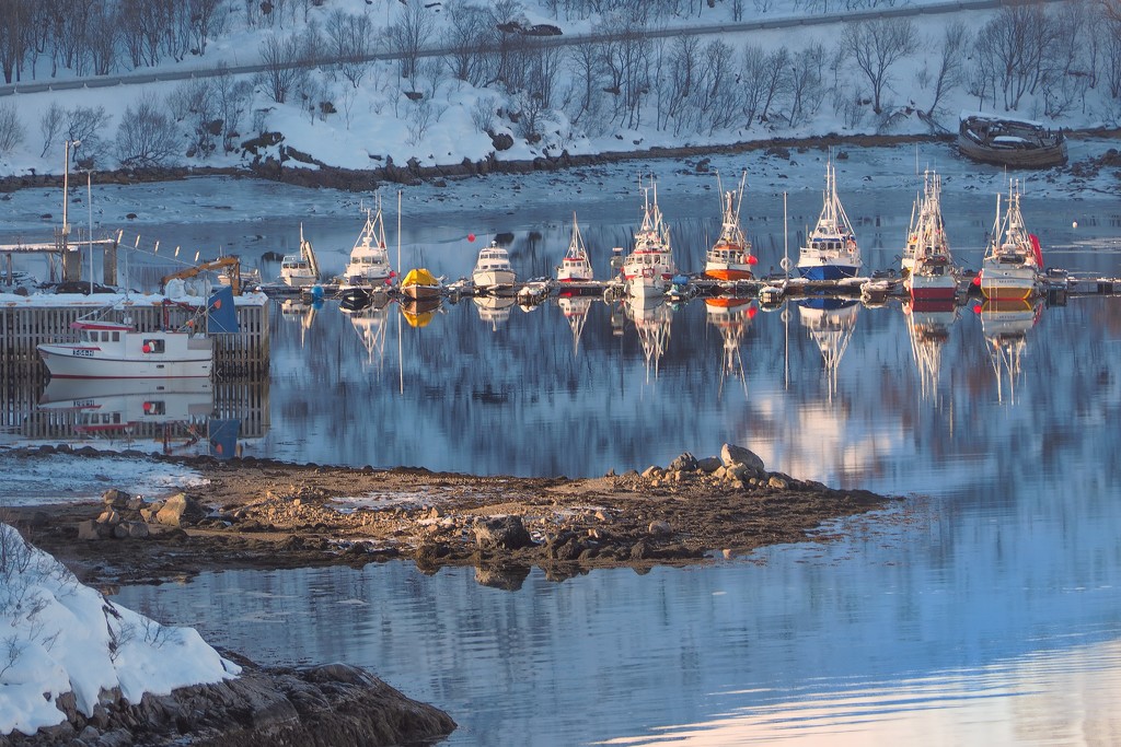 Fishing boats at Sildpolltjønna, Lofoten islands. by laroque