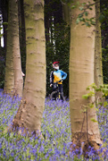 20th Apr 2017 - Bikers and bluebells