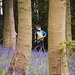 Bikers and bluebells by shepherdman