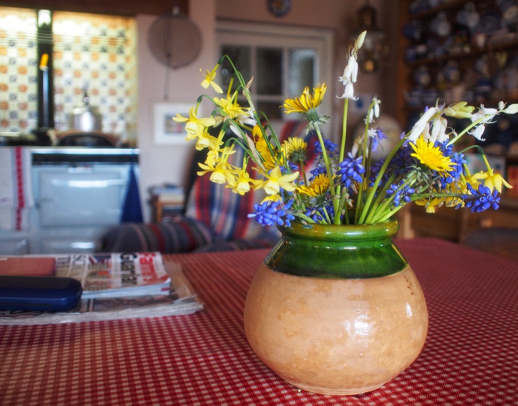 Wild flowers in an earthenware pot by happypat