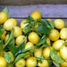 Lemons! by cmp