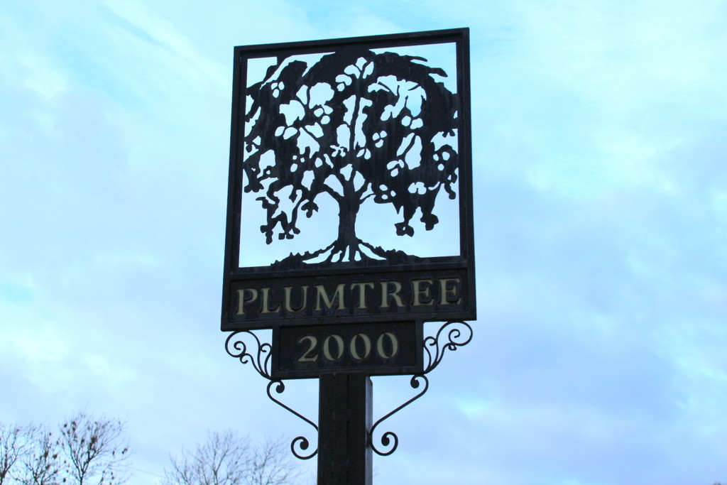 Plumtree by oldjosh