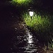 Nighttime Rain  by jo38