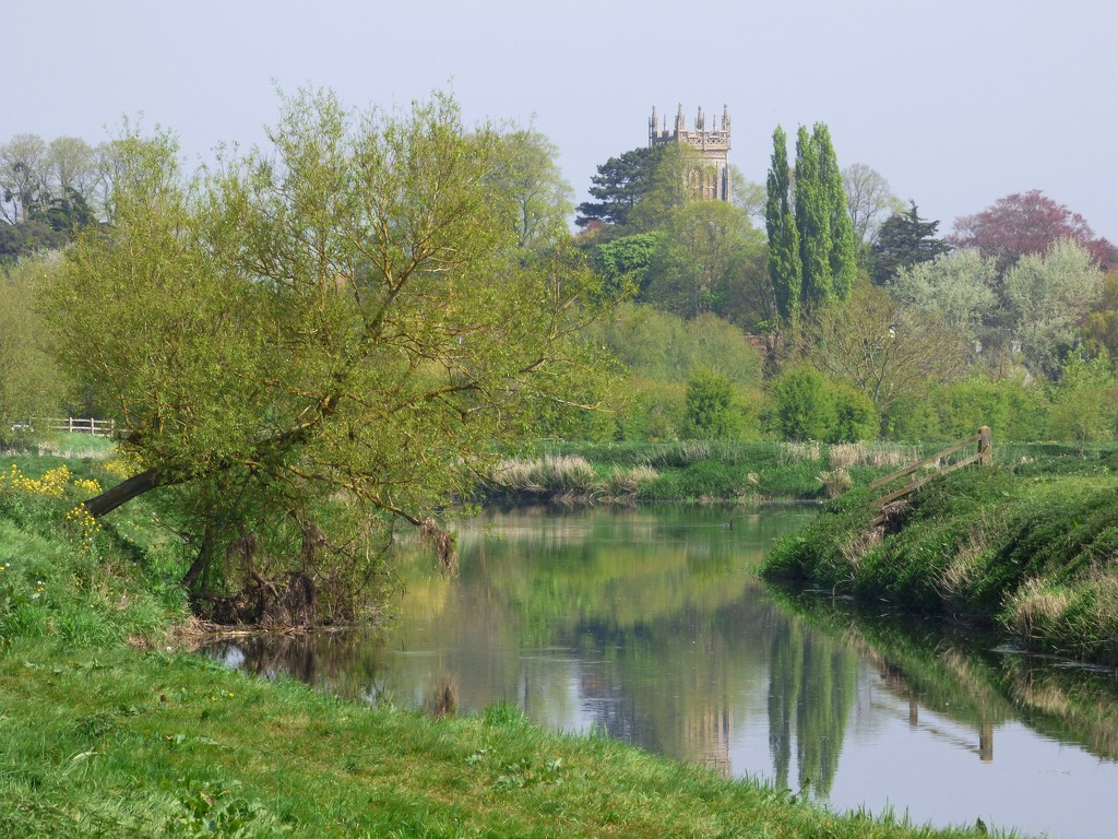 Huish Episcopi church from the Parrett Trail by julienne1