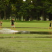 Boogie Boarding at the Flooded Park  by nickspicsnz