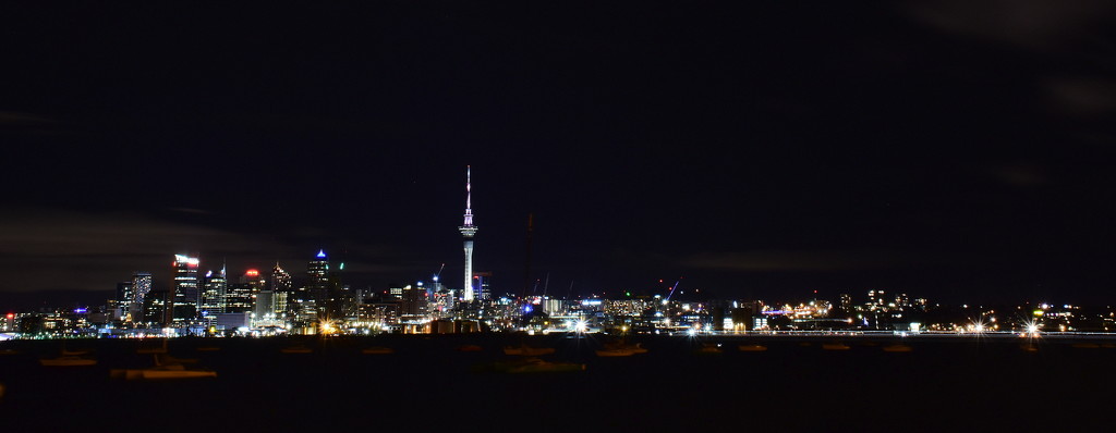 Auckland Lights by nickspicsnz