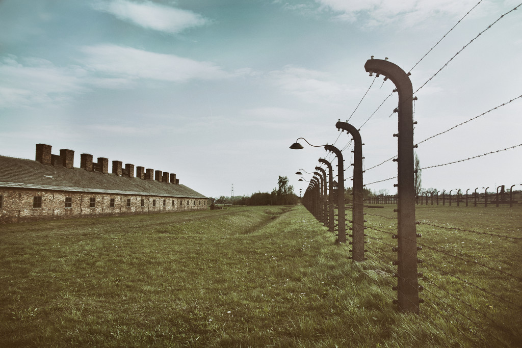 Auschwitz by walia