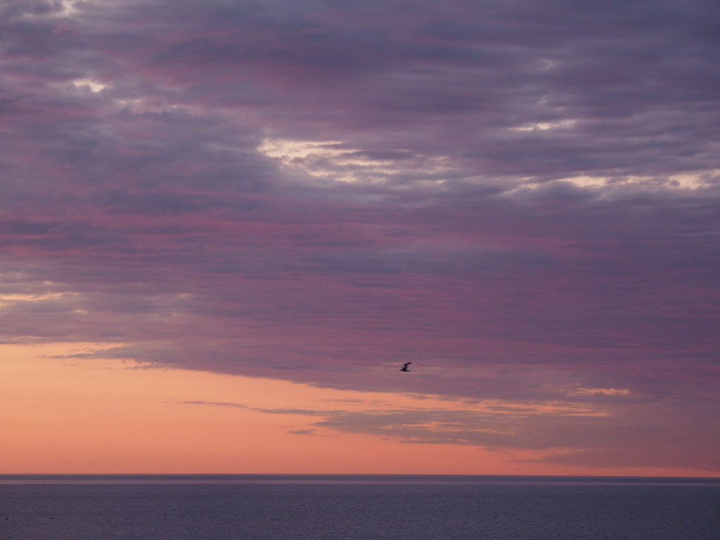 Purple Clouds by selkie