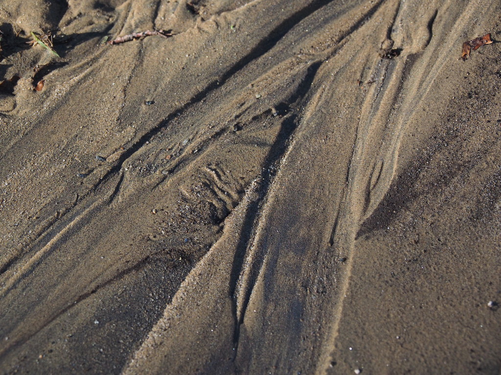 Patterns in the Sand by selkie