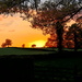 Sunset On The Farm by gillian1912