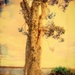 Up a Gum Tree by maggiemae