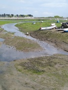 22nd Apr 2017 - Emsworth harbour.