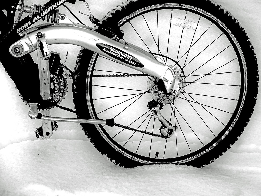 snow tires by dmdfday