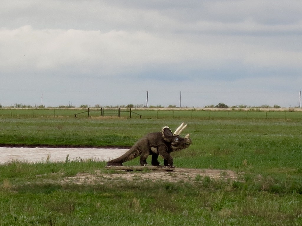 When was the last time you saw a Chasmosaurus on the plains  of West Texas? by louannwarren