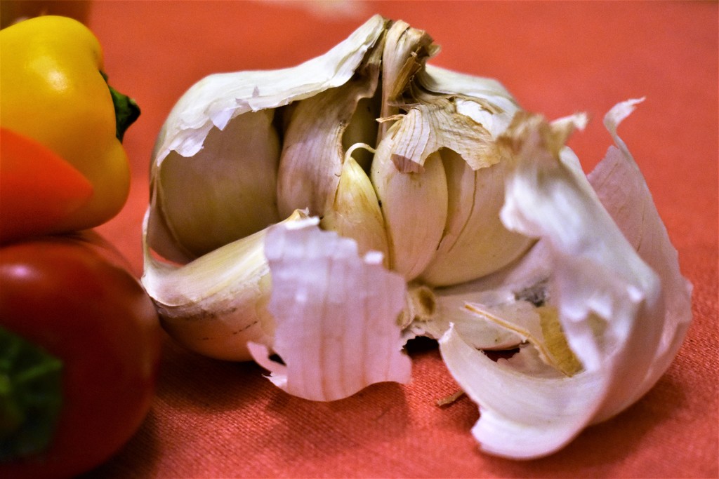 garlic by caitnessa