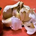 garlic by caitnessa