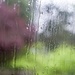 April showers on streaky windows by cristinaledesma33