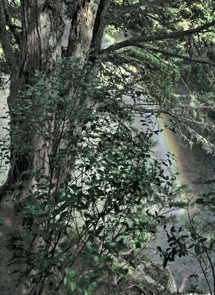Rainbow falls Kerikeri by Dawn