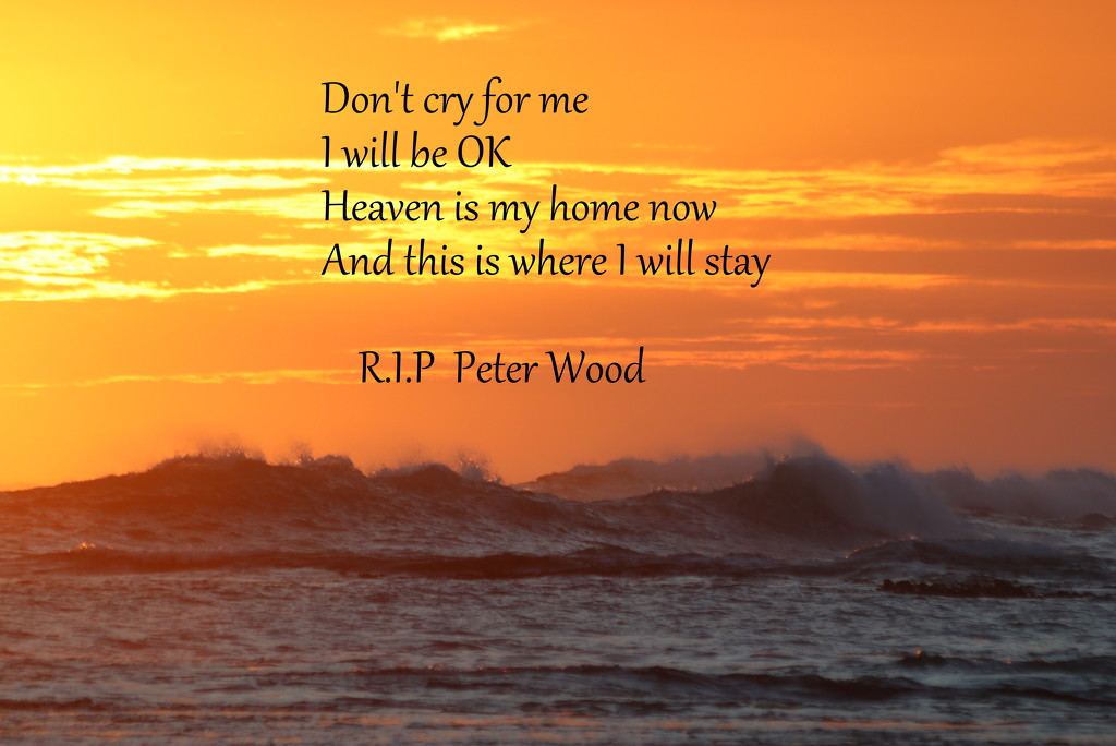 R.I.P Peter by gilbertwood
