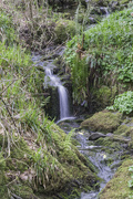 19th Apr 2017 - Small waterfall in Woods