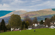 18th Apr 2017 - View over fields at Bowness-Windermere