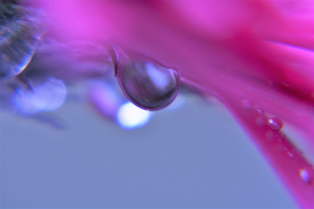 Droplet abstract... by ziggy77