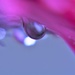 Droplet abstract... by ziggy77