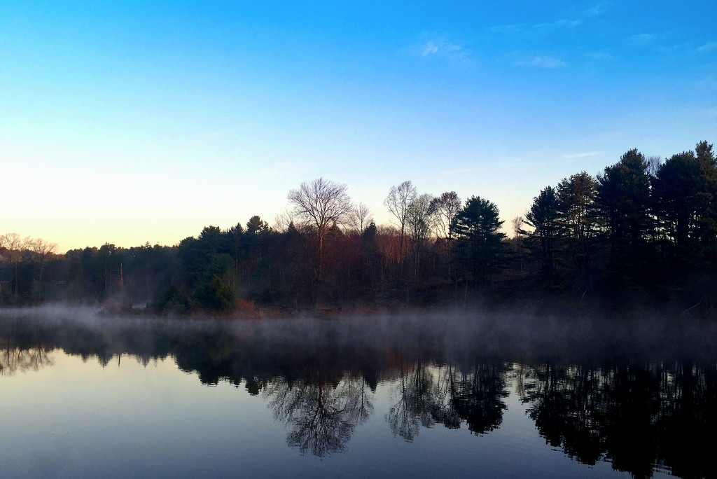Day 236:  Maltby Lake In The Morning by sheilalorson
