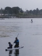 23rd Apr 2017 - Paddle boards