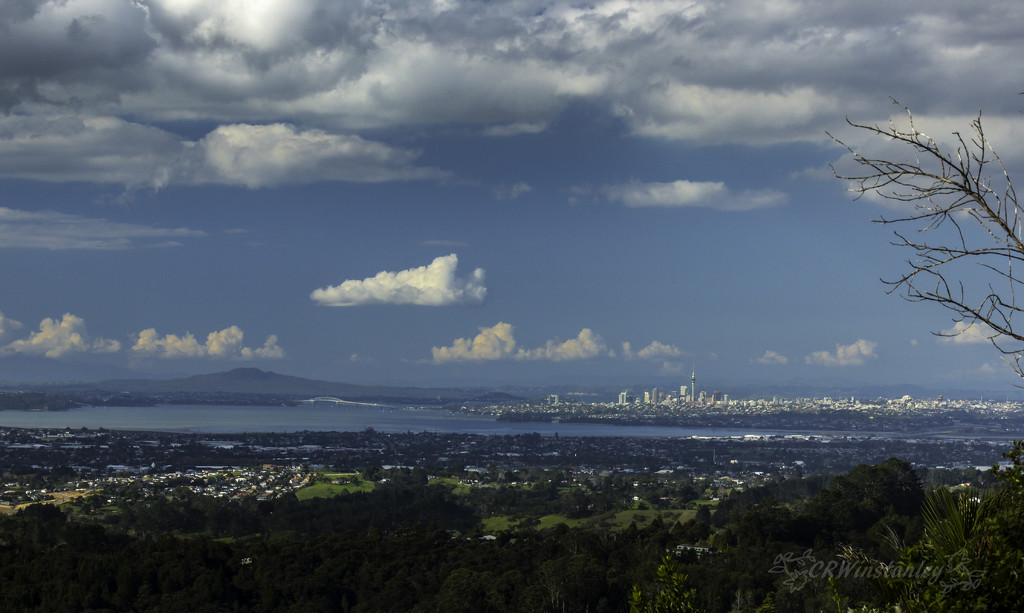 Day 115 From the Waitakere Ranges by kipper1951