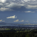 Day 115 From the Waitakere Ranges by kipper1951