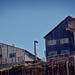Cockatoo Island - wide view - 5 by annied