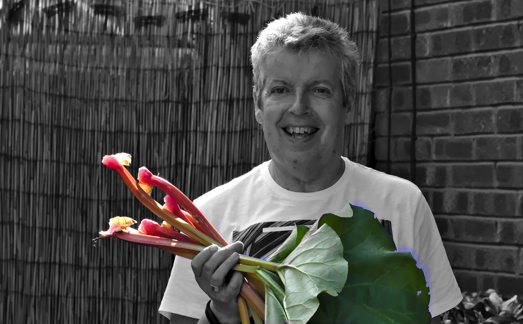 First rhubarb crop of the year by phil_howcroft
