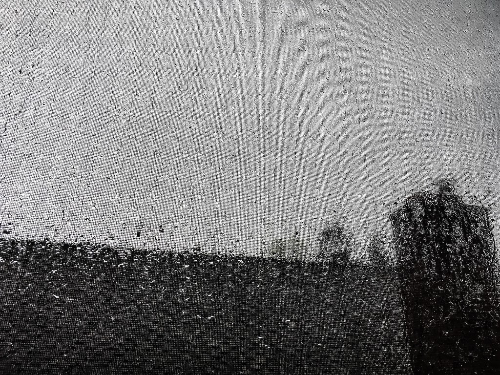 Rain splatter (not a BW shot) by cristinaledesma33