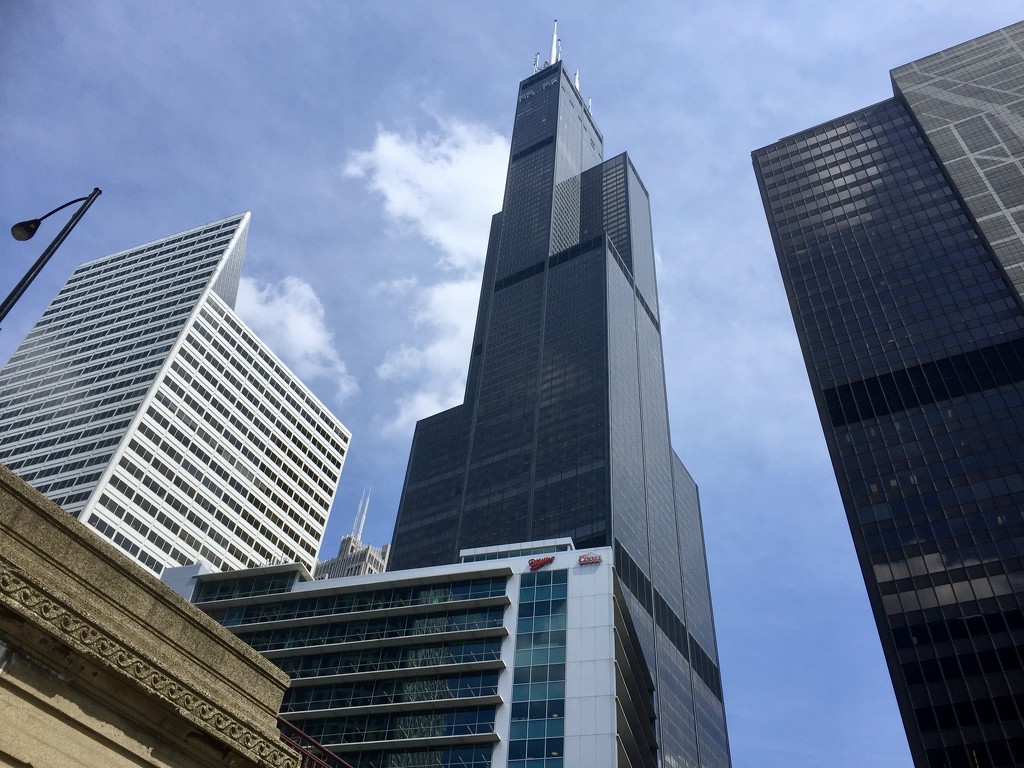 The Sears Tower by pamknowler