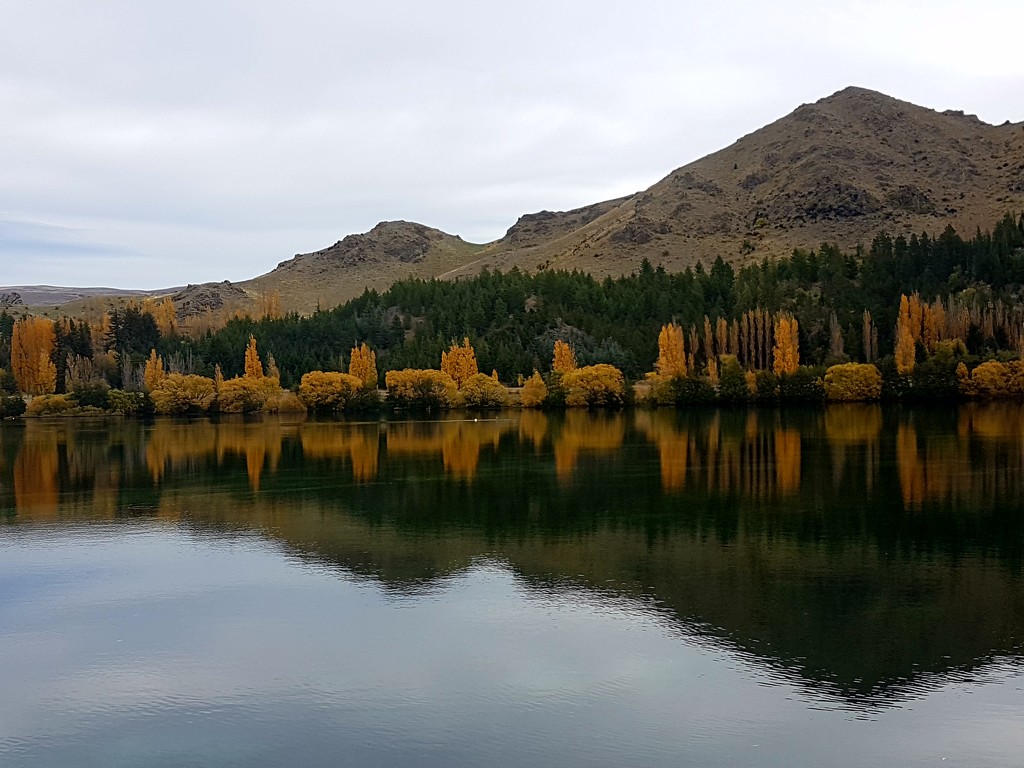 Autumn colour  lake Avimore... by julzmaioro