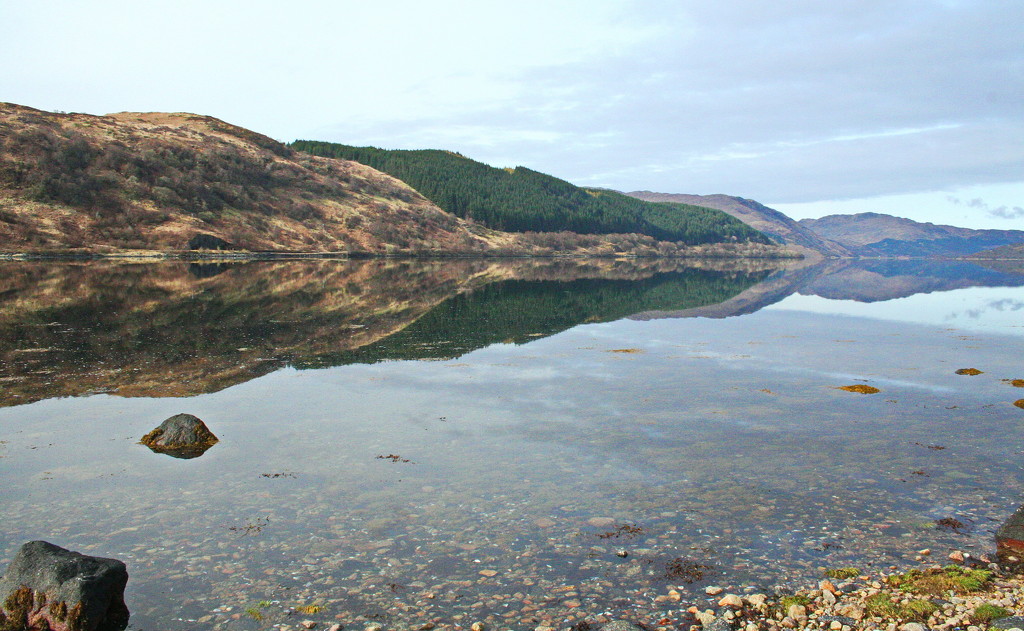 Loch Sunart, Scotland by terryliv