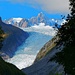 Fox Glacier  by kiwinanna