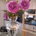 Roses At the Able Gallery by mozette