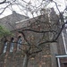 Church building and a tree. by grace55